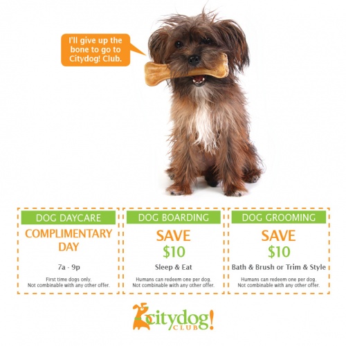 Coupons: Daycare - Complimentary Day, Boarding - Save $10, Grooming - Save $10