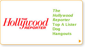 The Hollywood Reporter: Top A Lister Dog Hangouts