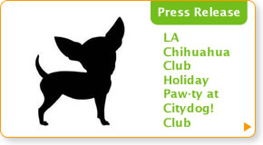 Citydog! Club's SUMMER CELEBRATION
