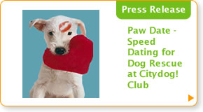 Paw Date - Speed Dating for Dog Rescue at Citydog! Club