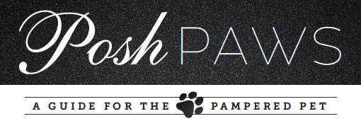 Posh Paws – A Guide For The Pampered Pet